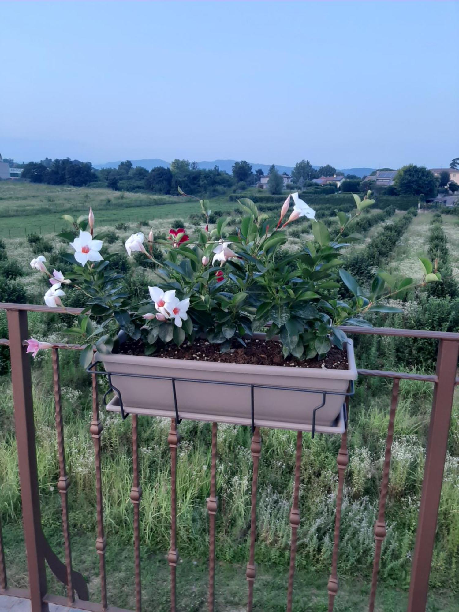 Bed And Breakfast Ca Tognella Pescantina Kültér fotó